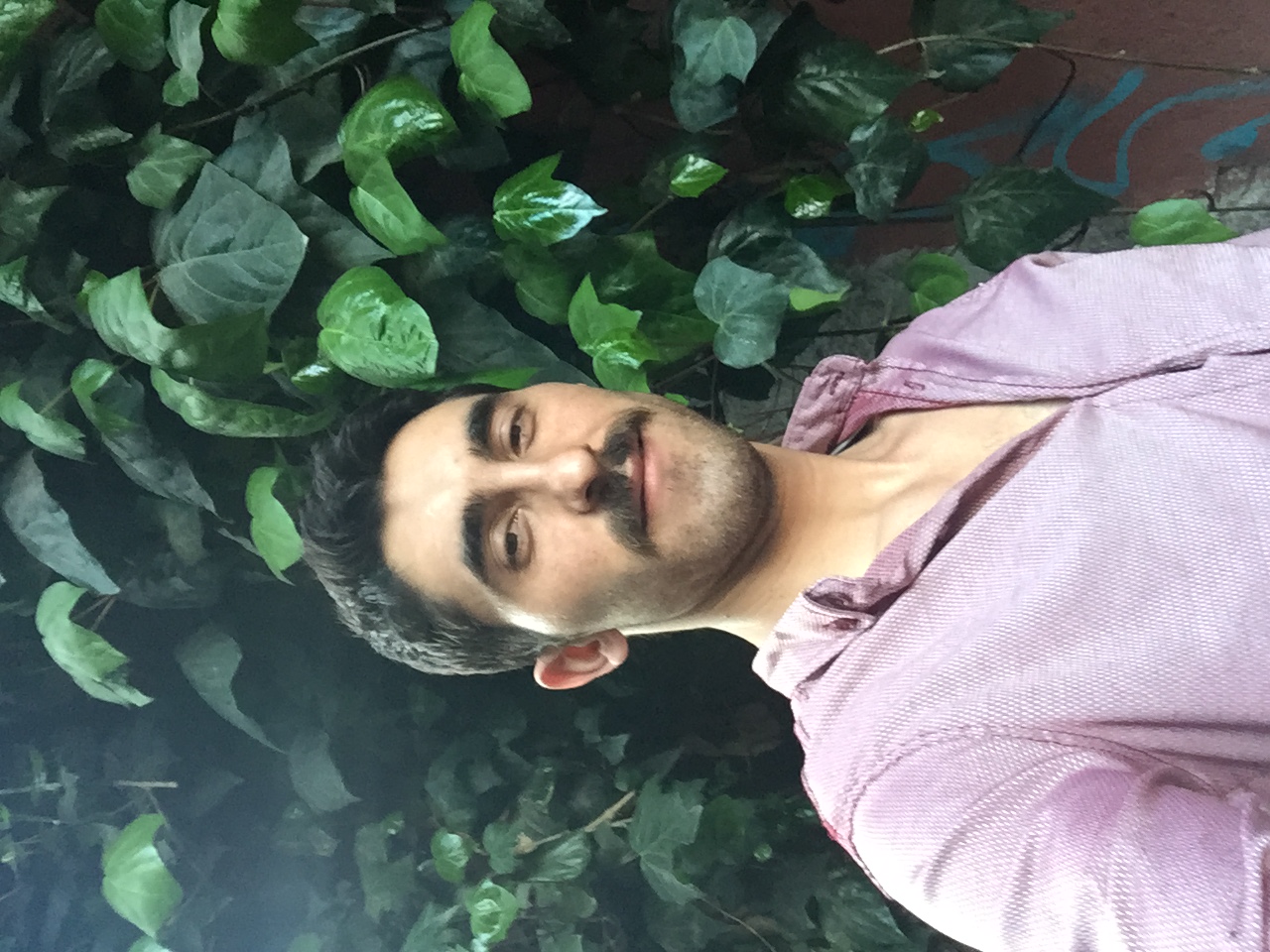 Mustafa Aydın