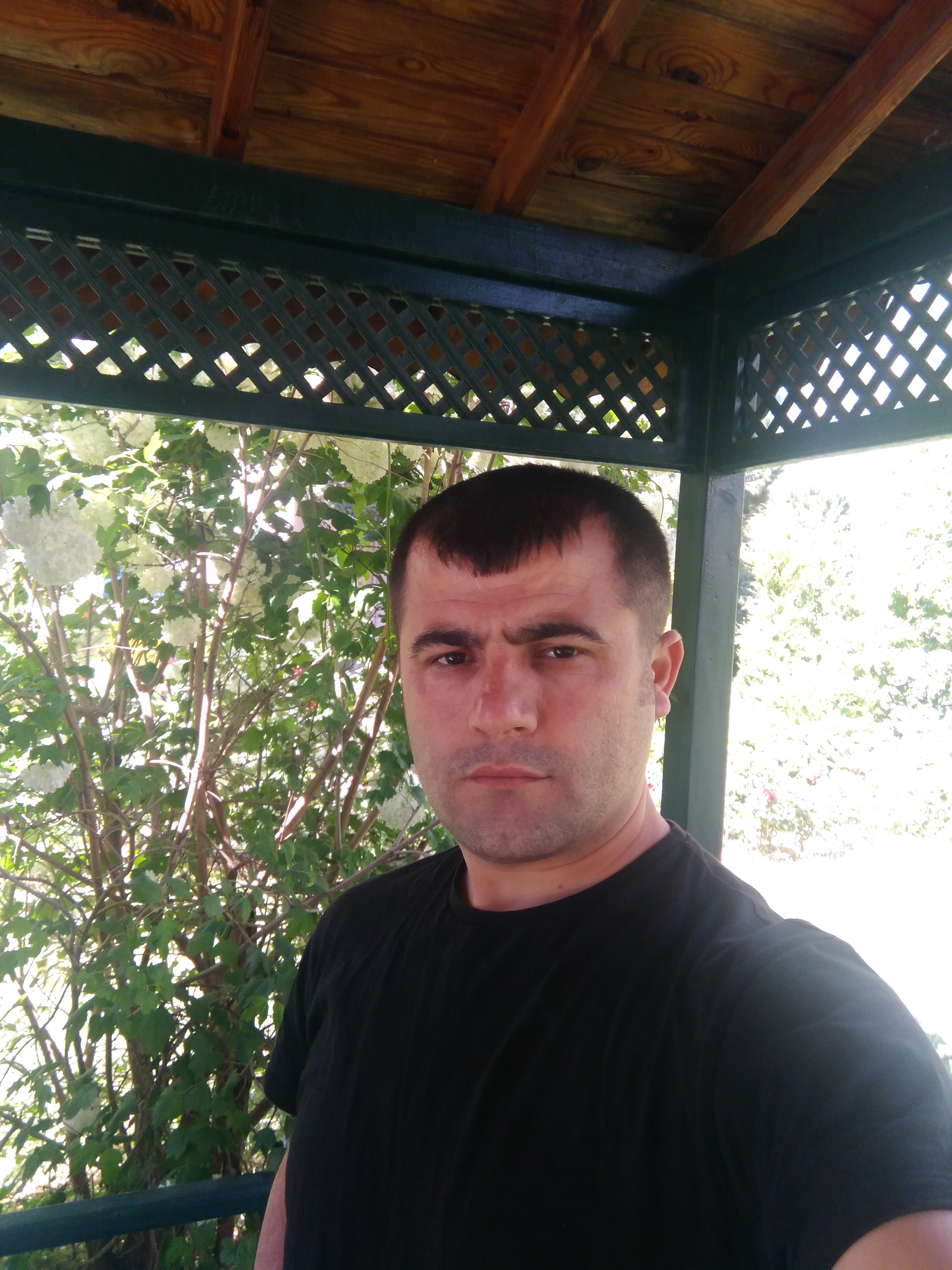 Mesut Gölcü