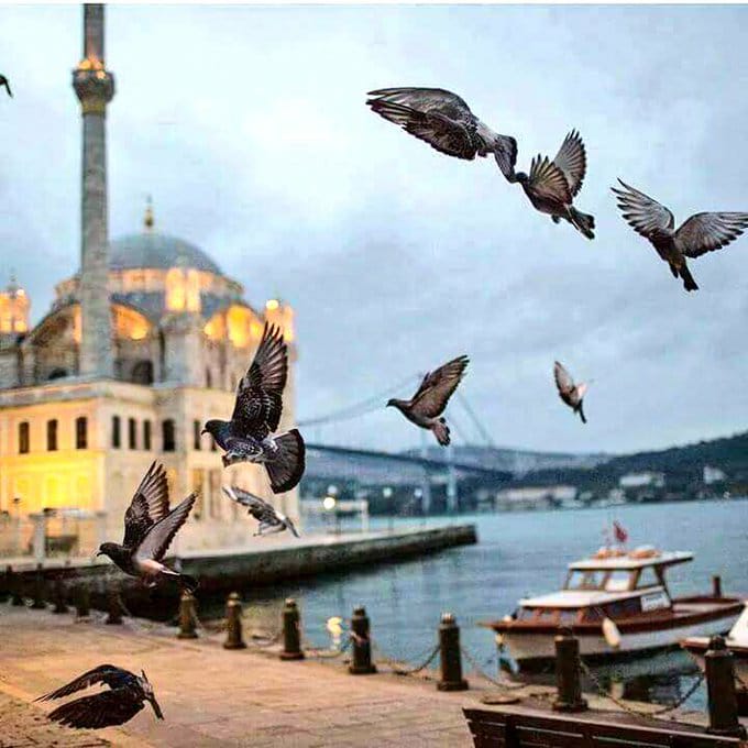 Emre Arslan