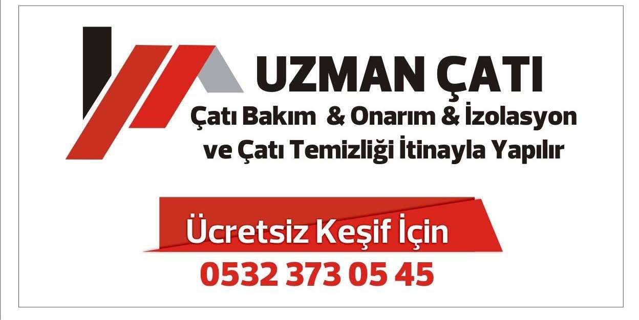 Mehmet Çelik