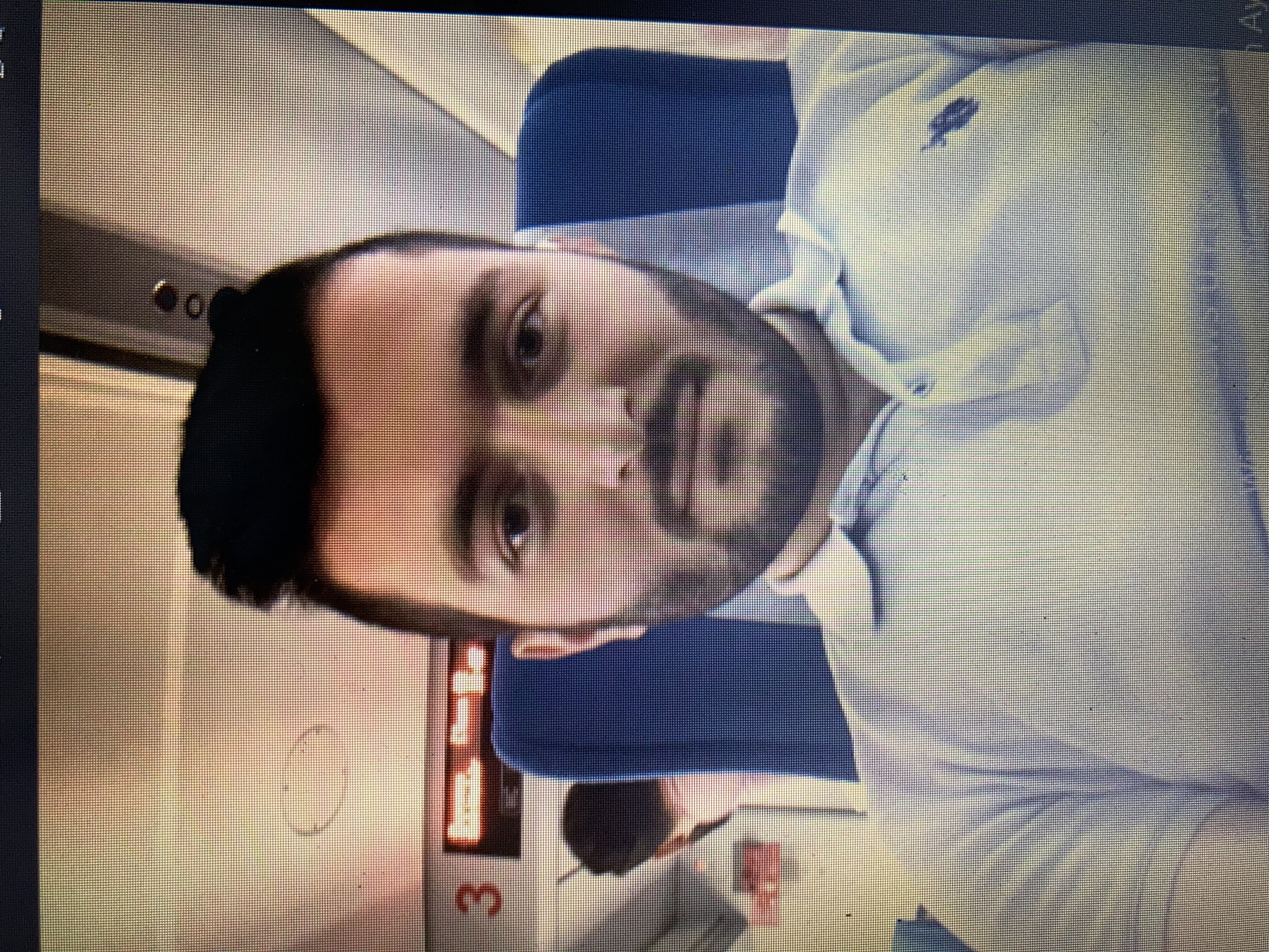 ömür özer